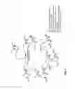 Fig. 08 - Highly functional short hairpin RNA