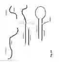Fig. 14 - Highly functional short hairpin RNA