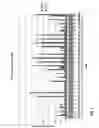 Fig. 17 - Highly functional short hairpin RNA