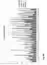Fig. 20 - Highly functional short hairpin RNA