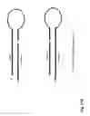 Fig. 25 - Highly functional short hairpin RNA