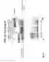 Fig. 29 - Highly functional short hairpin RNA