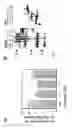 Fig. 04 - Circular nucleic acid vectors, and methods for making and using the same