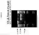 Fig. 06 - Circular nucleic acid vectors, and methods for making and using the same