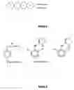 Fig. 03 - Method and compositions for temporarily incapacitating subjects