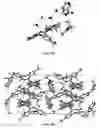 Fig. 12 - Novel olanzapine forms and related methods of treatment