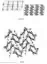 Fig. 13 - Novel olanzapine forms and related methods of treatment