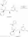 Fig. 101 - NK1 antagonists