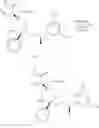 Fig. 158 - NK1 antagonists