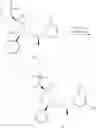 Fig. 162 - NK1 antagonists