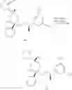Fig. 168 - NK1 antagonists
