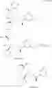 Fig. 169 - NK1 antagonists