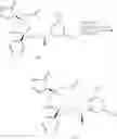 Fig. 181 - NK1 antagonists