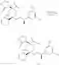 Fig. 211 - NK1 antagonists