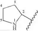 Fig. 79 - NK1 antagonists