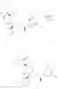 Fig. 88 - NK1 antagonists