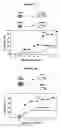 Fig. 04 - Therapeutic methods for type I diabetes