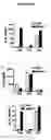 Fig. 06 - Therapeutic methods for type I diabetes