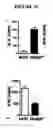 Fig. 07 - Therapeutic methods for type I diabetes