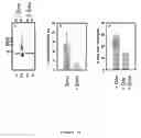 Fig. 12 - Treating neurodegenerative conditions