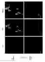 Fig. 23 - Treating neurodegenerative conditions