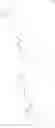 Fig. 23 - Piperazinyl substituted cyclohexane-1,4-diamines