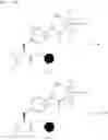 Fig. 16 - Phenylalanine derivatives