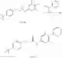 Fig. 33 - Biaryl derived amide modulators of vanilloid VR1 receptor