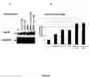 Fig. 09 - Methods and compositions for the treatment of hyperlipidemia