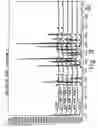 Fig. 09 - Stable pharmaceutical compositions of desloratadine and processes for preparation of polymorphic forms of desloratadine