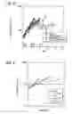 Fig. 08 - Indoloquinone Tumor Radiation Sensitization