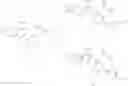 Fig. 161 - Non-steroidal farnesoid x receptor modulators