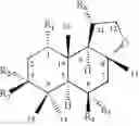 Fig. 02 - Novel hydroxylated enantiomers of (-) 3a,6,6,9a-tetramethylperhydronaphtho[2,1-b]furan as perfuming agents derived from a fungal fermentation process.