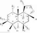 Fig. 03 - Novel hydroxylated enantiomers of (-) 3a,6,6,9a-tetramethylperhydronaphtho[2,1-b]furan as perfuming agents derived from a fungal fermentation process.