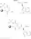 Fig. 76 - Lipopeptide stereoisomers, methods for preparing same and useful intermediates