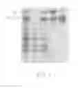 Fig. 03 - Process for selectively isolating IgY antibodies from egg yolk of an anseriform bird and IgY antibodies obtained thereby