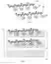Fig. 05 - Functionalization and separation of nanotubes and structures formed thereby