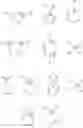 Fig. 03 - Superhigh purity ionic liquid