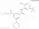 Fig. 243 - IL-12 modulatory compounds