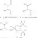 Fig. 07 - CHIRAL DI- AND TRIPHOSPHITES