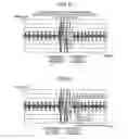 Fig. 06 - Heartbeat measuring apparatus