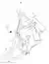 Fig. 04 - Splinter CR/S W