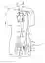 Fig. 01 - Methods for minimally invasive vascular access