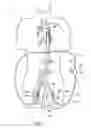 Fig. 08 - Methods for minimally invasive vascular access