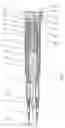Fig. 02 - Administering device for an injectable product with a release lock