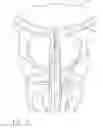 Fig. 02 - Anchors for use in anastomotic procedures