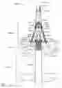 Fig. 08 - Harness and balloon catheter assembly and method for use in anastomosis procedures