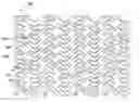 Fig. 01 - Flexible stent with variable width elements