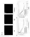 Fig. 22 - Protein fragment complementation assays for high-throughput and high-content screening