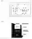 Fig. 02 - Method and apparatus for pattern recognition for knowledge capture and customization
